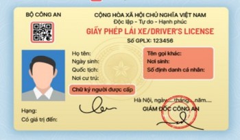 Học viên tập lái tại - tuvanhoclaixe.vn